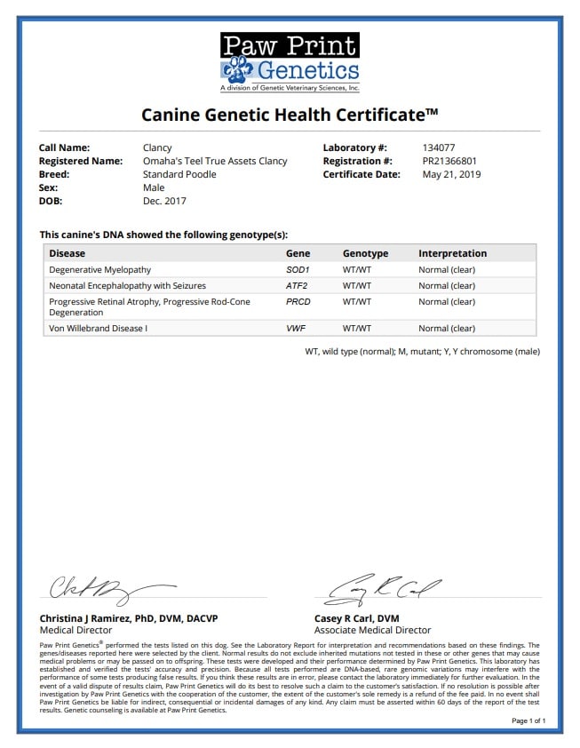 health certif